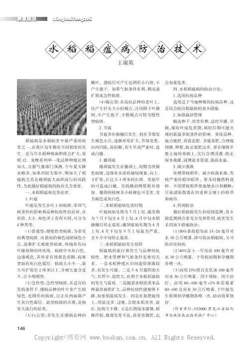 水稻稻瘟病防治技术    