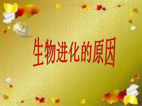 生物进化的原因