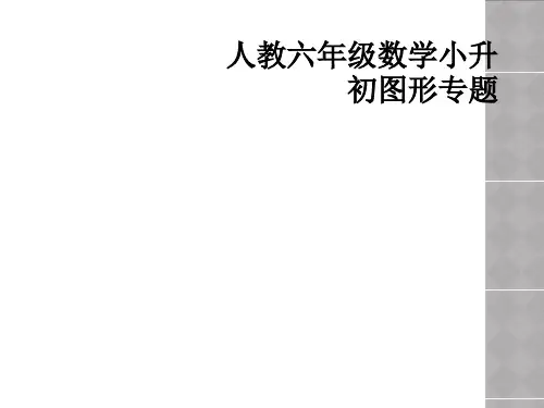 人教六年级数学小升初图形专题