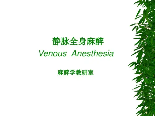 静脉全身麻醉