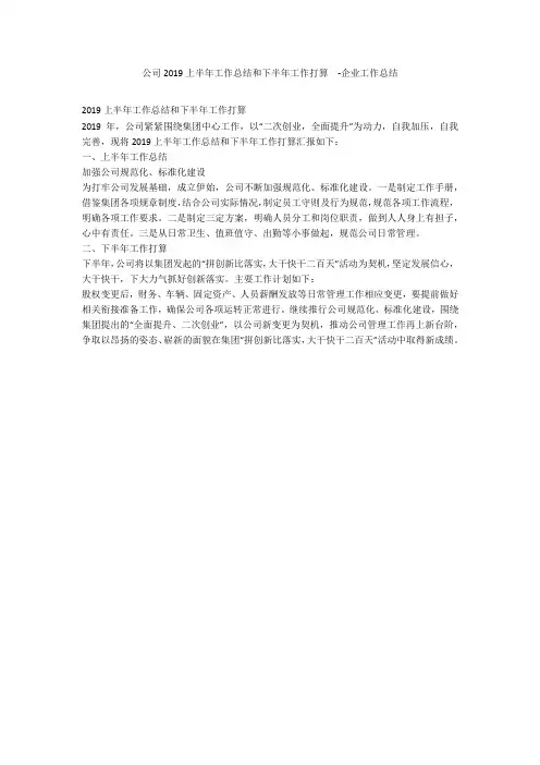 公司2019上半年工作总结和下半年工作打算  -企业工作总结_2