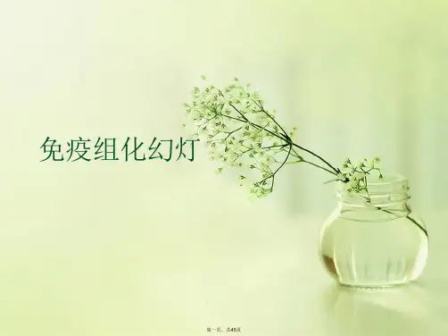 免疫组化幻灯