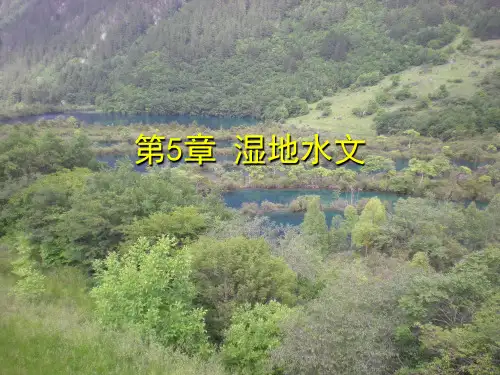 5.湿地水文学◆