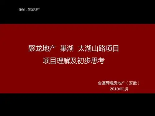 2010聚龙地产巢湖太湖山路项目项目理解及初步思考38p