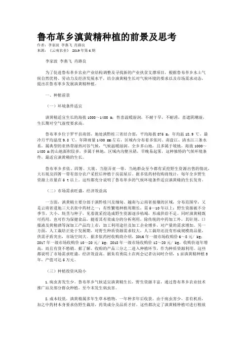 鲁布革乡滇黄精种植的前景及思考