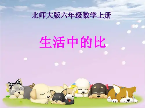 《生活中的比》PPT培训课件.ppt