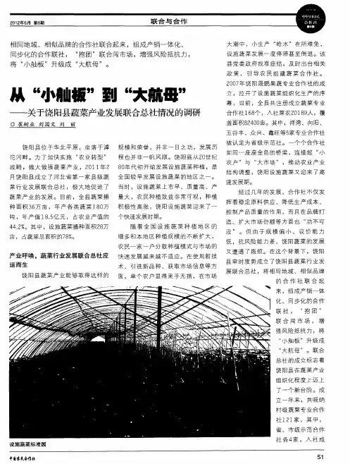 从“小舢板”到“大航母”——关于饶阳县蔬菜产业发展联合总社情况的调研