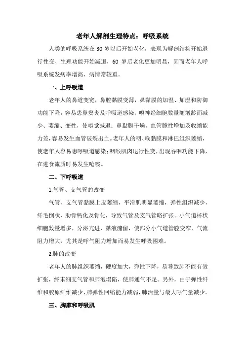 老年人解剖生理特点：呼吸系统