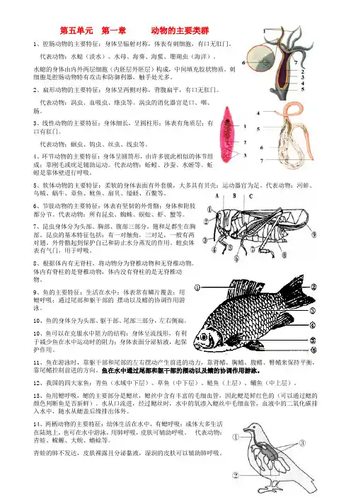 八年级生物上册 复习提纲 新人教版