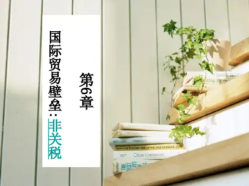 第6章国际贸易壁垒非关税报告