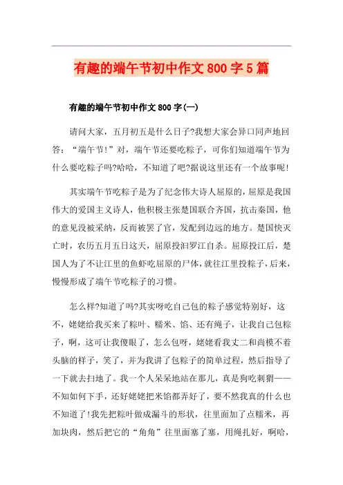 有趣的端午节初中作文800字5篇