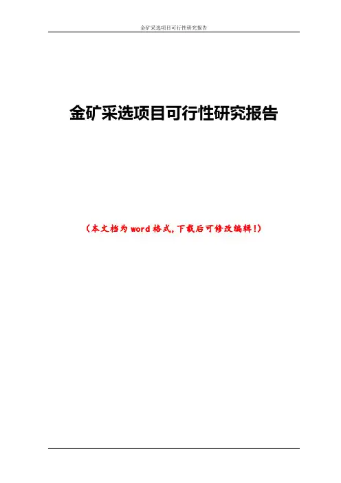 金矿采选项目可行性研究报告