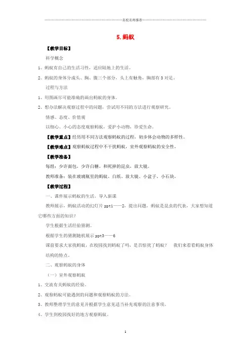小学三年级科学上册 2.5《蚂蚁》名师公开课优质教案 (新版)教科版