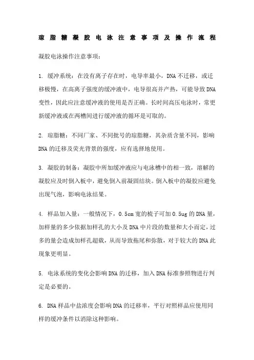 琼脂糖凝胶电泳注意事项及操作流程