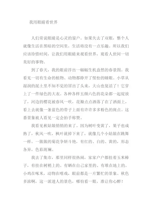 我用眼睛看世界作文