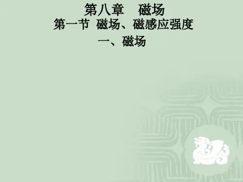 磁感应强度(精)