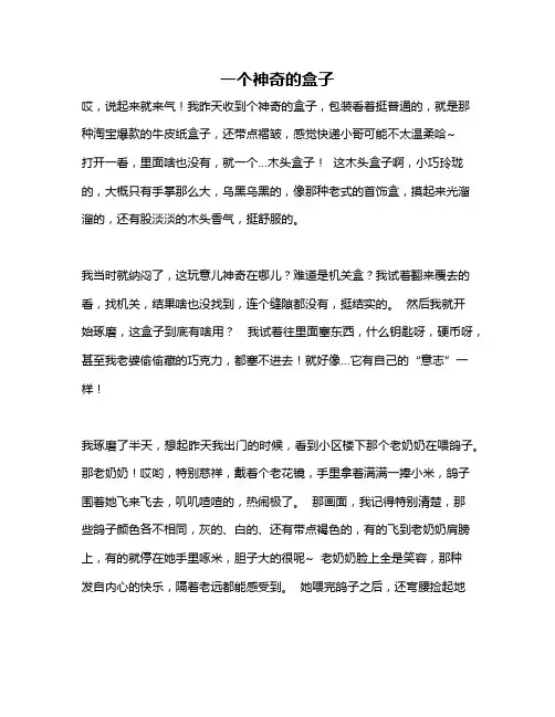 作文《一个神奇的盒子》