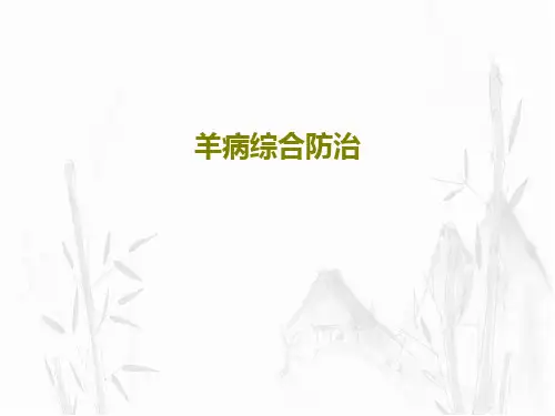 羊病综合防治162页PPT
