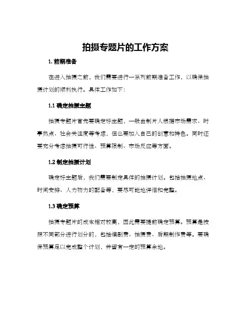 拍摄专题片的工作方案 2