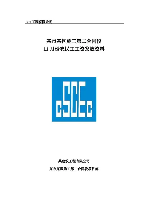 农民工工资月发放清册资料