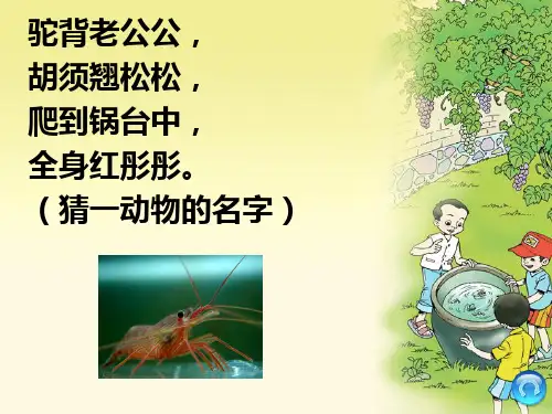 新人教版(部编)三年级语文下册《四单元 15 小虾》导读课_7