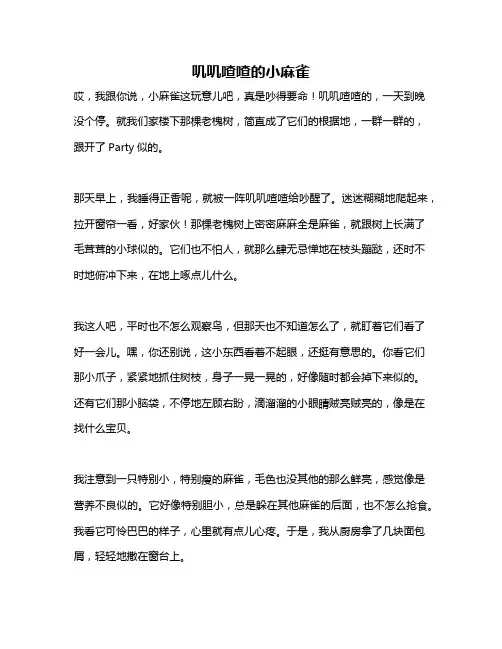 作文《叽叽喳喳的小麻雀》