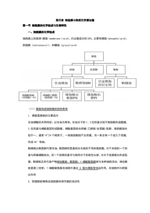 细胞生物学之笔记--第4章 细胞膜与物质的穿膜运输