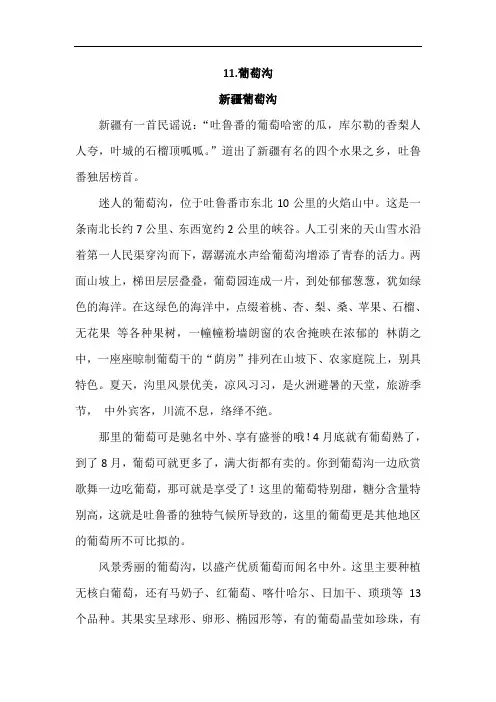 部编版二年级语文上全11.葡萄沟(类文)