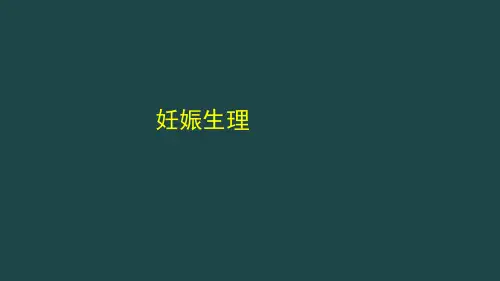 妇产-妊娠生理