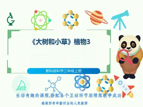教科版科学三年级上册《大树和小草》植物3