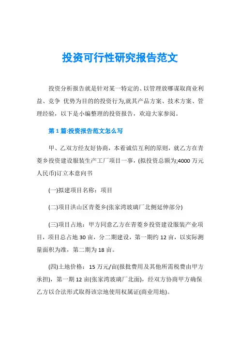 投资可行性研究报告范文