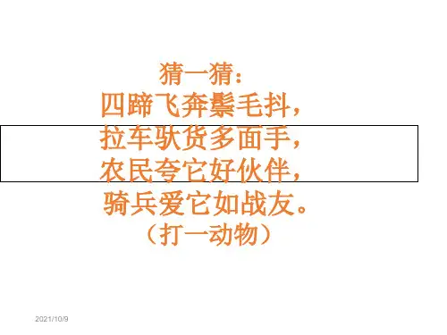 布封《马》精品
