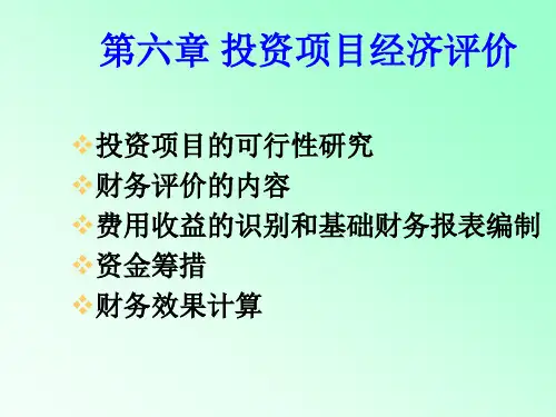 6投资项目经济评价