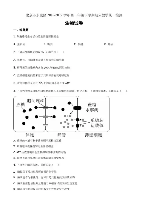 精品解析北京市东城区2018-2019学年高一下学期期末生物试题(原卷版)