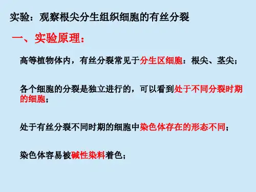 B020101-孟德尔的豌豆杂交实验(一)习题和题型