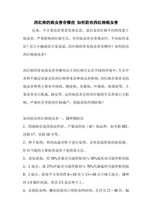 西红柿的病虫害有哪些 如何防治西红柿病虫害