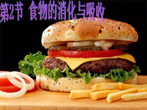 浙教版九年级上册科学 4.2食物的消化与吸收 PPT