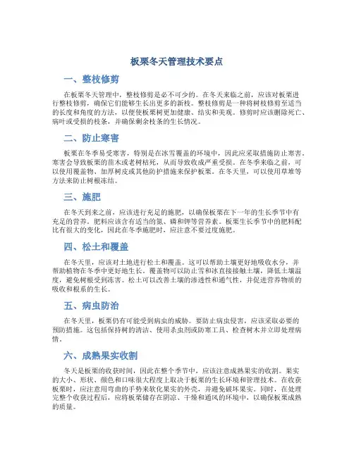 板栗冬天管理技术要点
