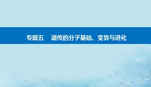 2023高考生物二轮专题复习：生物的变异与进化课件