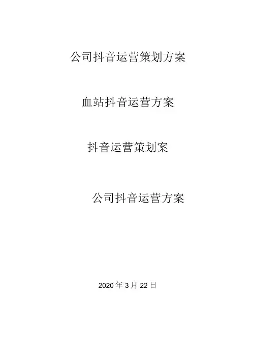 抖音运营-公司抖音运营策划方案 2