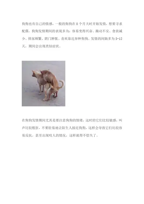 发情期的狗狗存在的问题有哪些,你都知道吗？