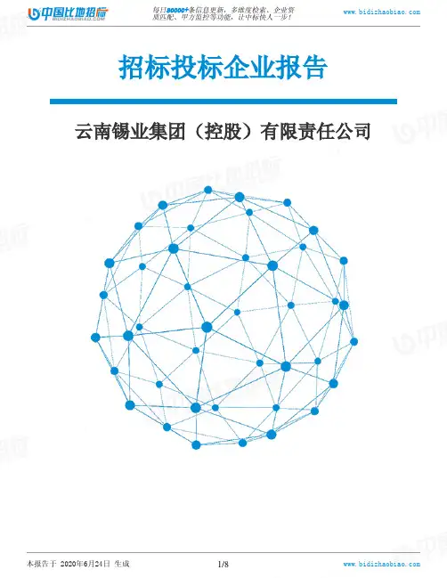 云南锡业集团(控股)有限责任公司-招投标数据分析报告
