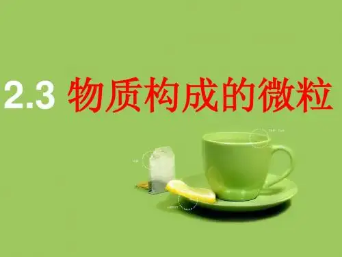 2.3构成物质的微粒