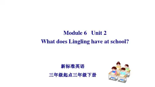 三年级英语下册Module 6 Unit 2 What does Lingling外研版
