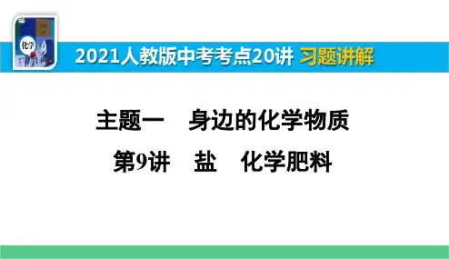 第9讲盐化学肥料习题讲解【2021中考化学一轮复习考点20讲】