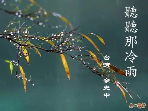 最新苏教版语文必修二课件:第四专题 听听那冷雨(共19张PPT)