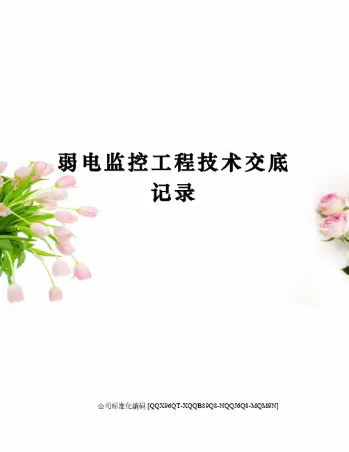 弱电监控工程技术交底记录