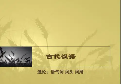 语气词 古代汉语