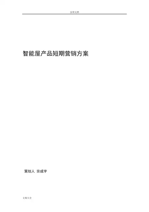 电子产品营销方案设计