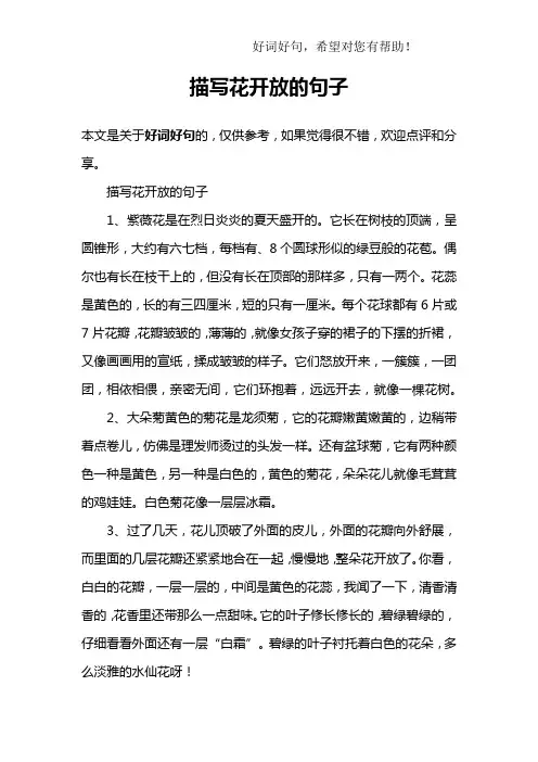描写花开放的句子